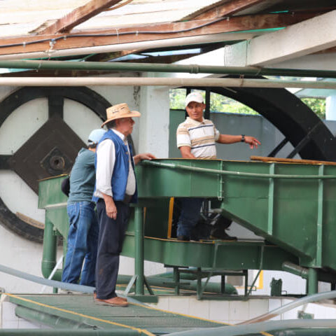 Guatemala El Injerto Bourbon Washed