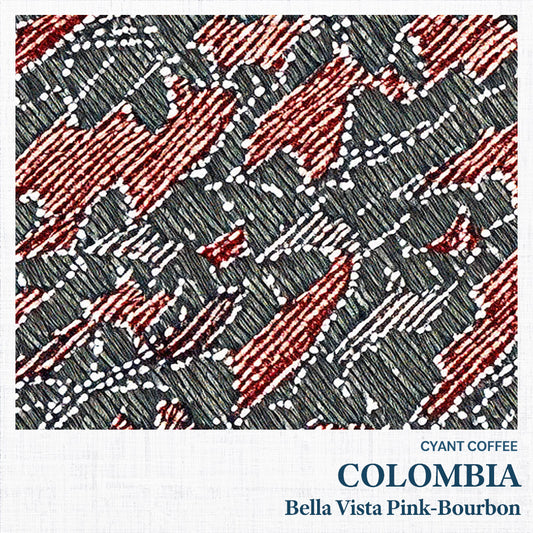 Colombia Bella Vista Pink-Bourbon | コロンビア べジャビスタ ピンクブルボン 浅煎り