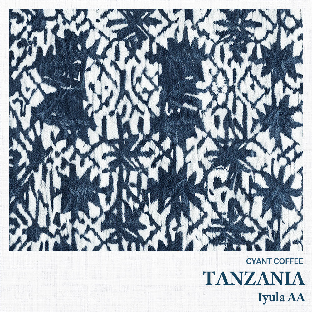 Tanzania Iyula AA | タンザニア イユラ AA 中深煎り