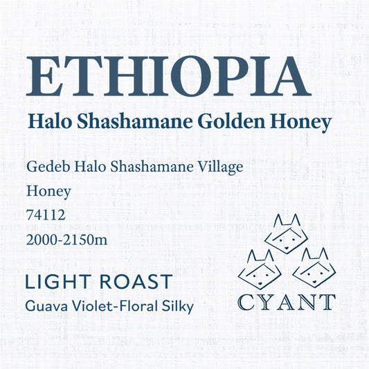 Ethiopia Halo Shashamane Golden Honey