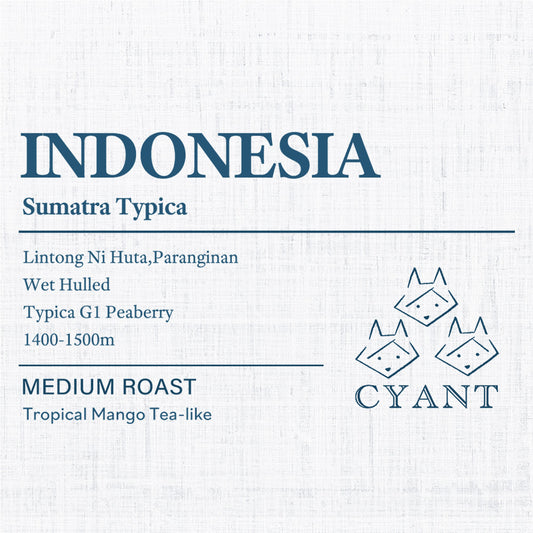 Indonesia Sumatra Lintong Nihuta Paranginan Typica