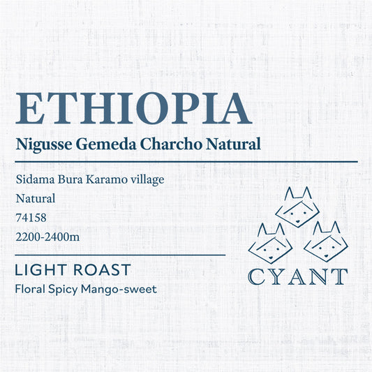 Ethiopia Nigusse Gemeda Charcho Natural | エチオピア カラモ チャルチョ ナチュラル 浅煎り