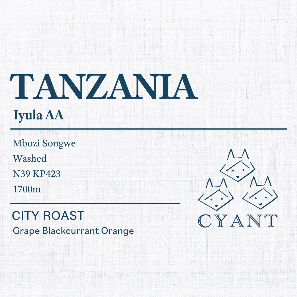 Tanzania Iyula AA | タンザニア イユラ AA 中深煎り