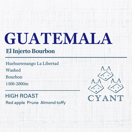 Guatemala El Injerto Bourbon Washed | グアテマラ エルインヘルト ブルボン 浅煎り