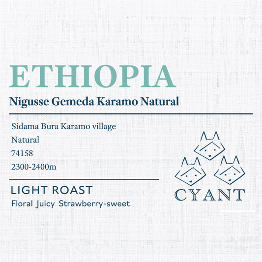 Ethiopia Nigusse Gemeda Karamo Natural