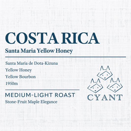 Costa Rica Santa Maria Yellow Honey | コスタリカ サンタマリア イエローハニー 中浅煎り