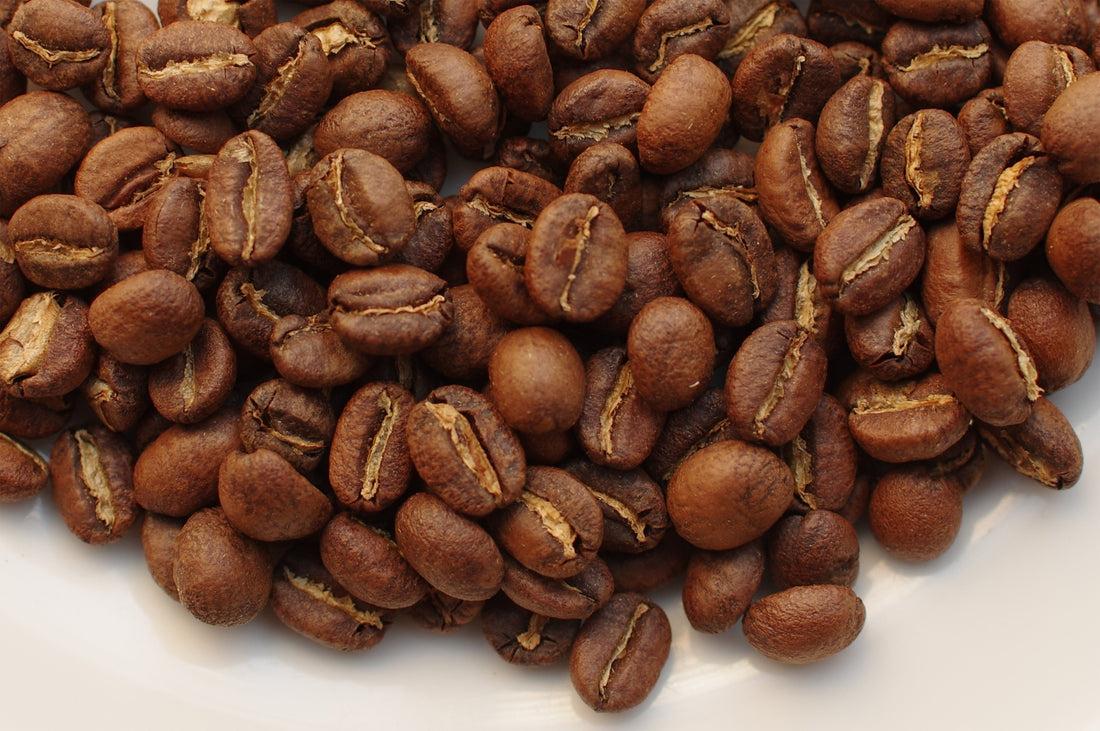 減速を整えて、香りと甘さを残す浅煎り