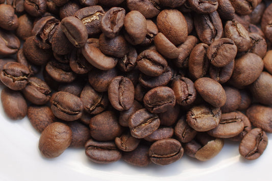 ハニーの個性を整える中浅設計