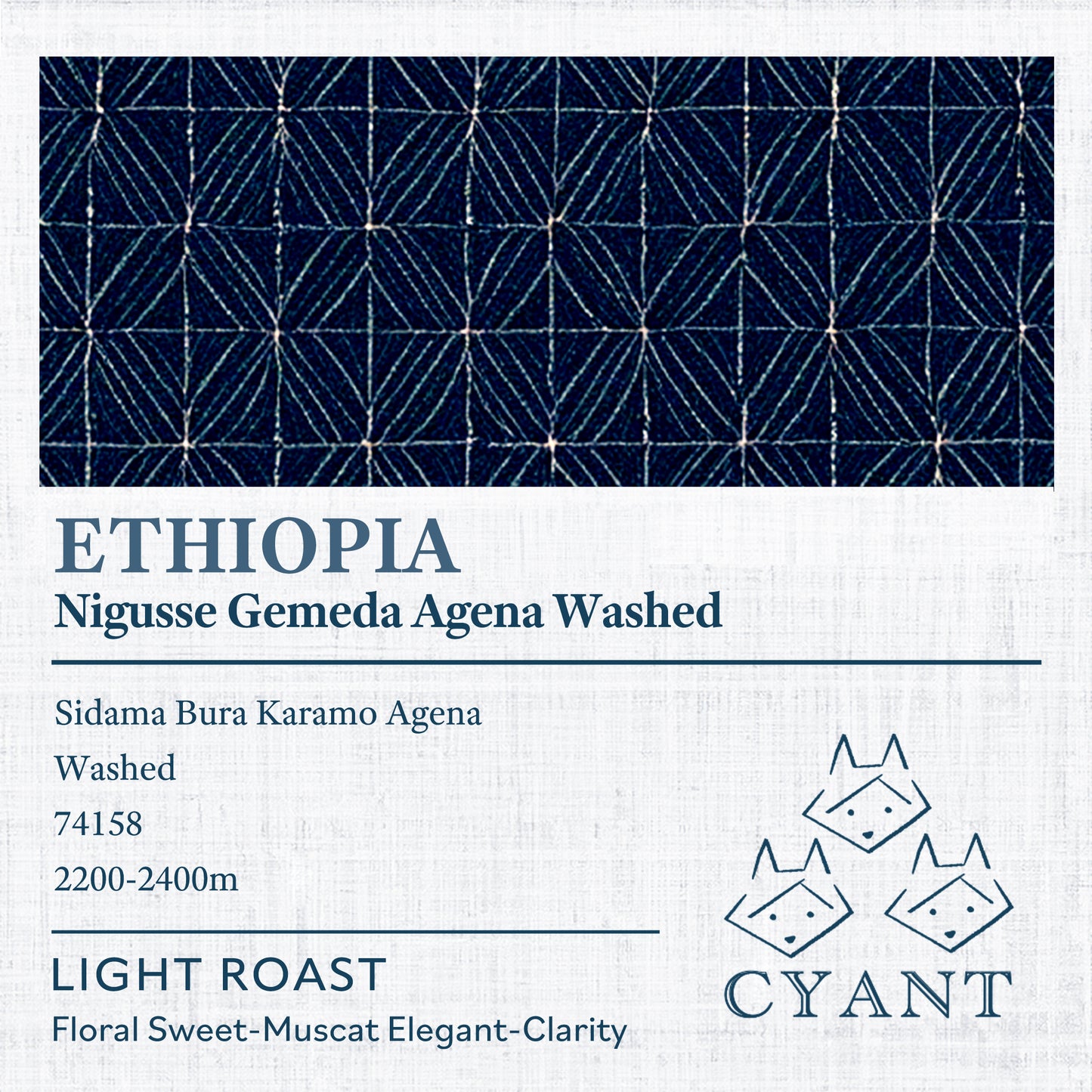 Ethiopia Nigusse Gemeda Agena Washed