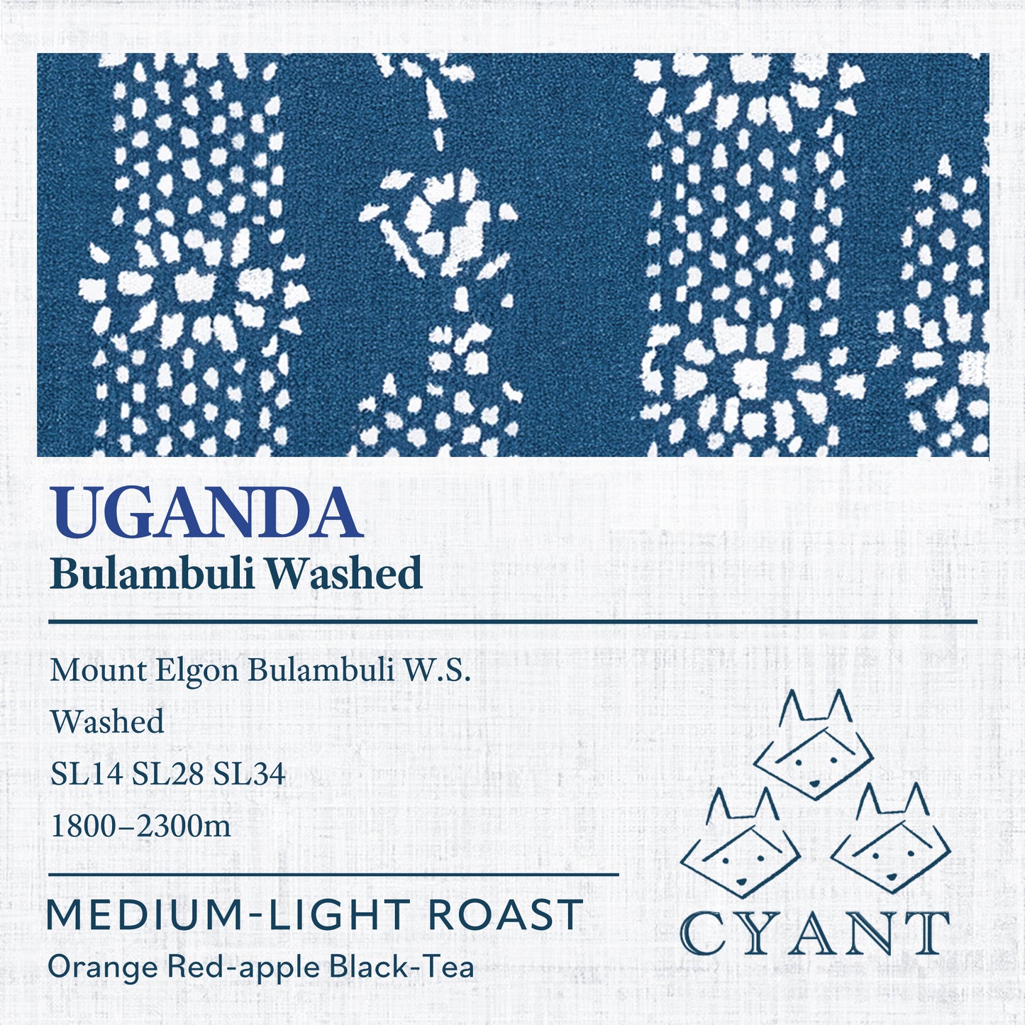 Uganda Mount Elgon Bulambuli Washed