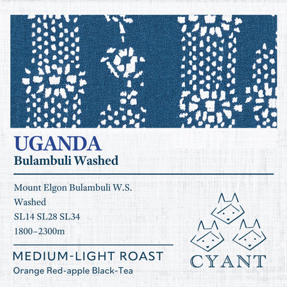 Uganda Mount Elgon Bulambuli Washed