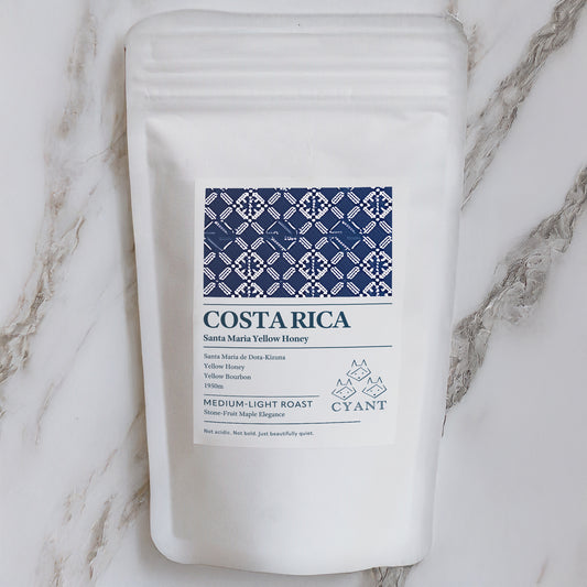 Costa Rica Santa Maria de Dota Kizuna Yellow Honey