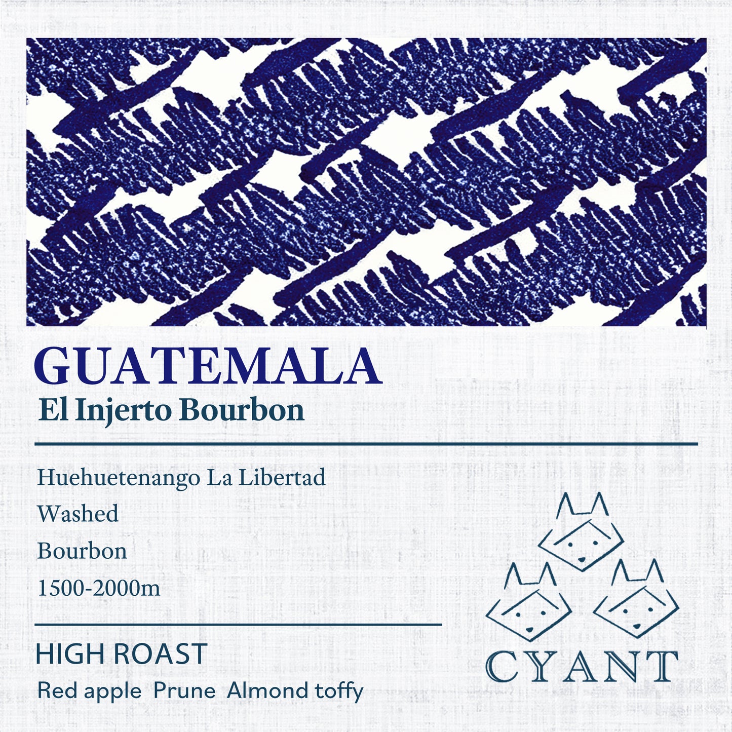 Guatemala El Injerto Bourbon Washed