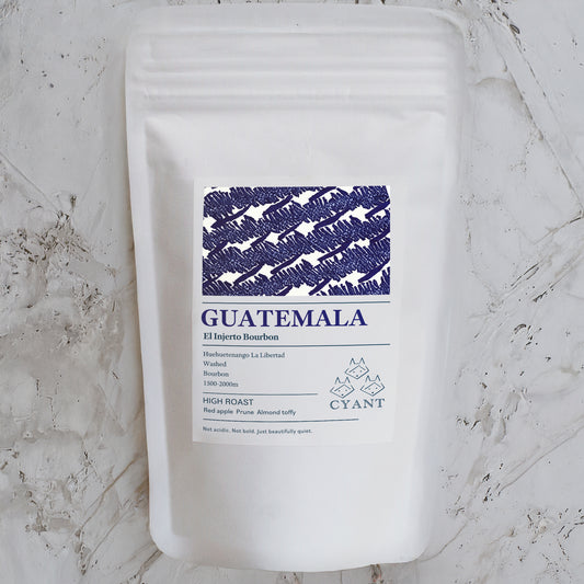 Guatemala El Injerto Bourbon Washed