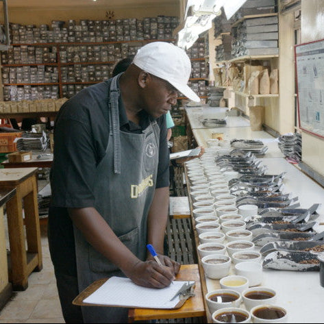 Kenya Kianyangi AA Washed