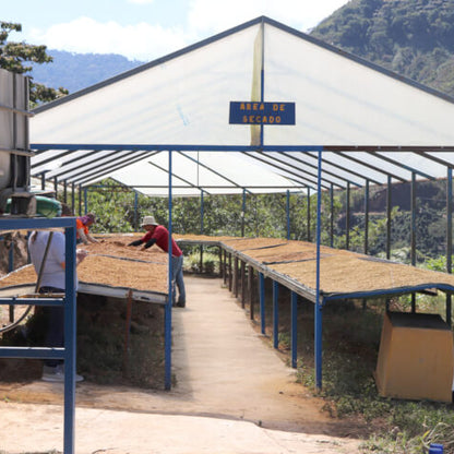 Costa Rica Monte Copey El Alto White Honey