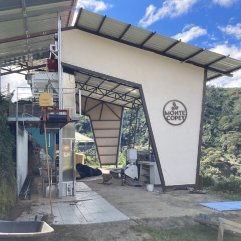 Costa Rica Monte Copey El Alto White Honey