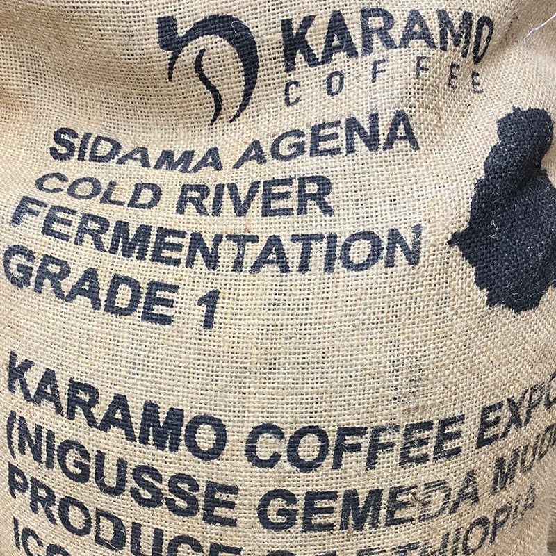 Ethiopia Nigusse Gemeda Agena Washed