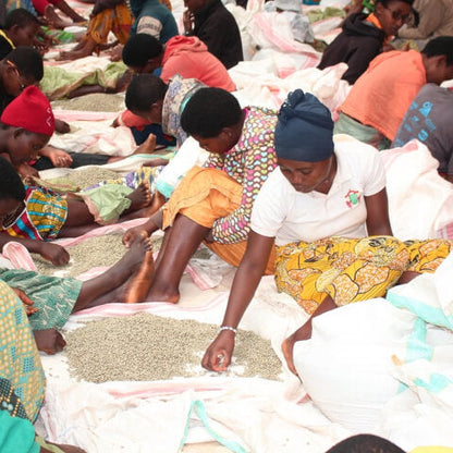 Burundi Gisha Washed
