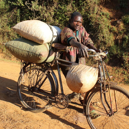 Burundi Gisha Washed