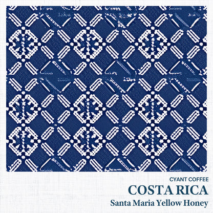 Costa Rica Santa Maria Yellow Honey | コスタリカ サンタマリア イエローハニー 中浅煎り
