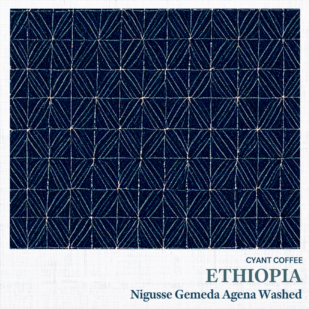 Ethiopia Nigusse Gemeda Agena Washed