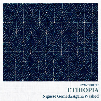 Ethiopia Nigusse Gemeda Agena Washed