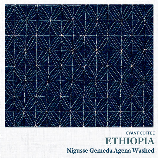 Ethiopia Nigusse Gemeda Agena Washed