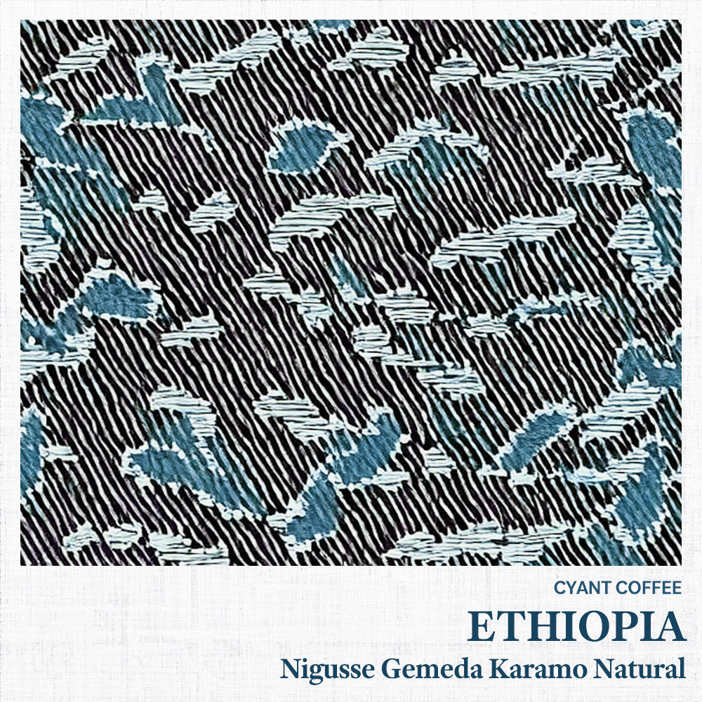 Ethiopia Karamo Natural | エチオピア カラモ ナチュラル 浅煎り