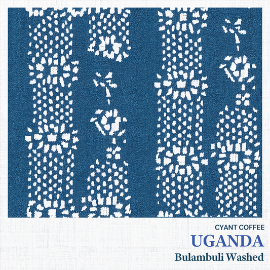 Uganda Mount Elgon Bulambuli Washed
