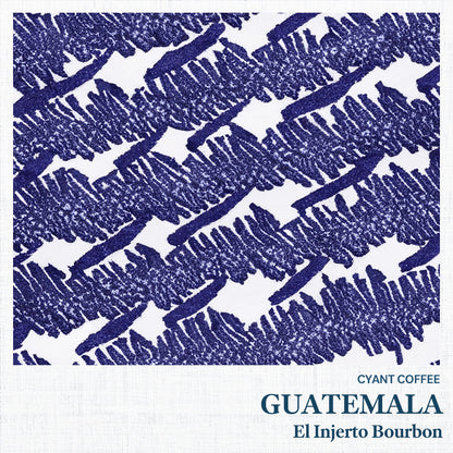 Guatemala El Injerto Bourbon Washed | グアテマラ エルインヘルト ブルボン 浅煎り