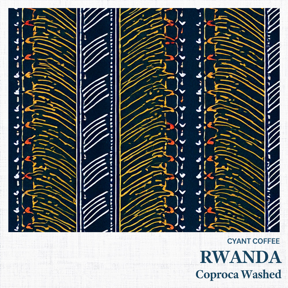 Rwanda Coproca Nyamasheke Washed | ルワンダ コプロカ ウォッシュト 中煎り