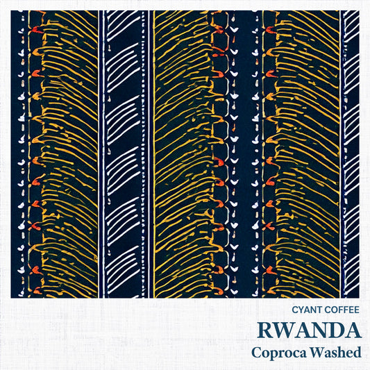 Rwanda Coproca Nyamasheke Washed | ルワンダ コプロカ ウォッシュト 中煎り