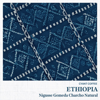 Ethiopia Nigusse Gemeda Charcho Natural | エチオピア カラモ チャルチョ ナチュラル 浅煎り