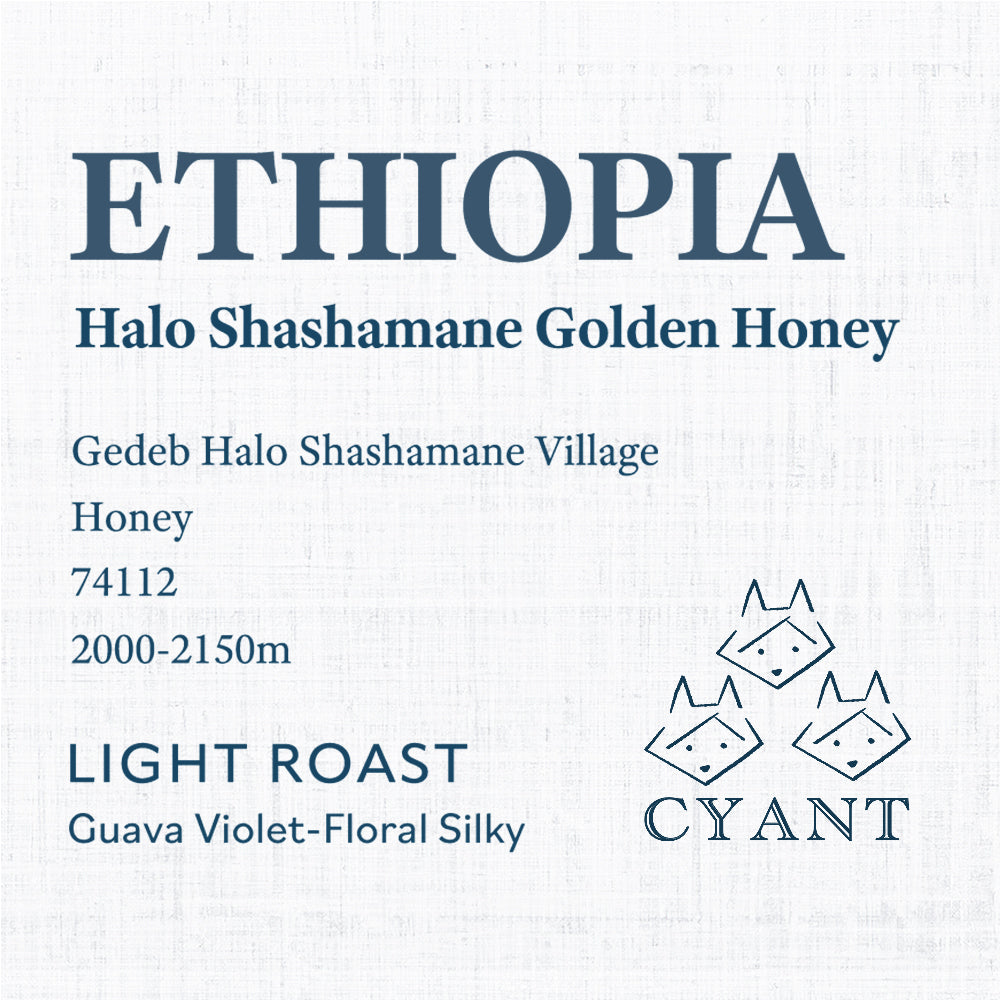 Ethiopia Halo Shashamane Golden Honey