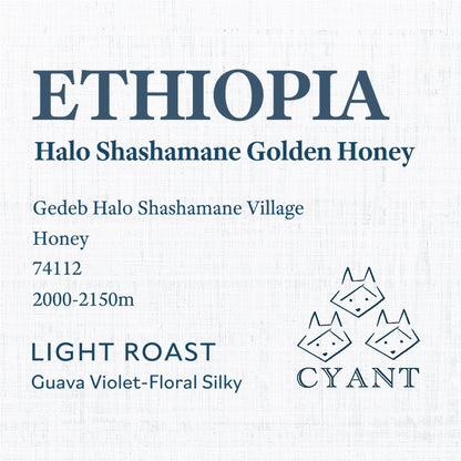 Ethiopia Halo Shashamane Golden Honey