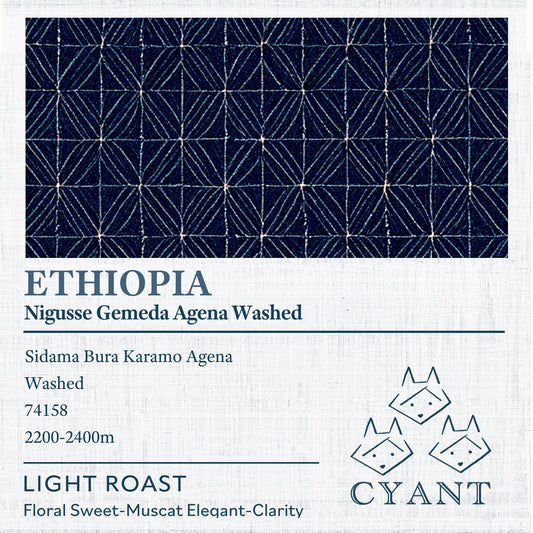 Ethiopia Nigusse Gemeda Agena Washed