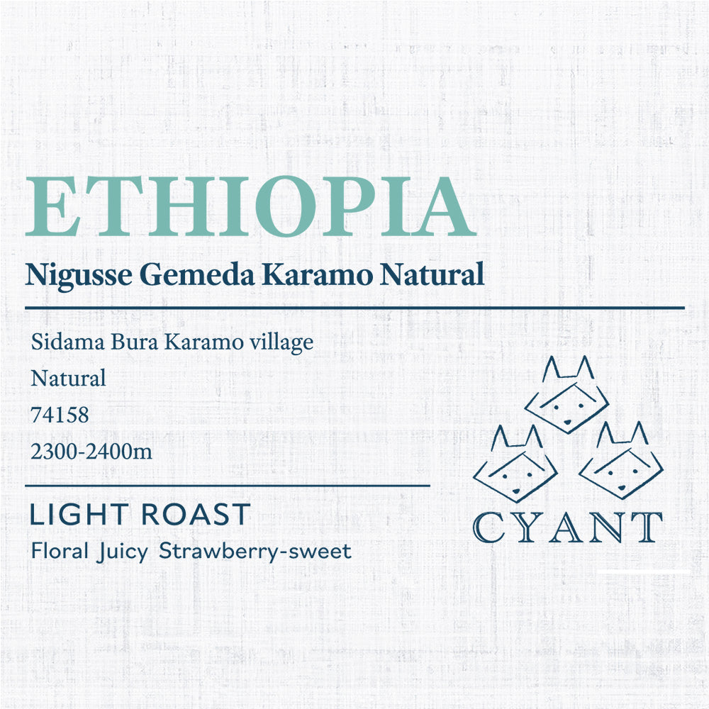 Ethiopia Karamo Natural | エチオピア カラモ ナチュラル 浅煎り