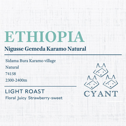 Ethiopia Karamo Natural | エチオピア カラモ ナチュラル 浅煎り