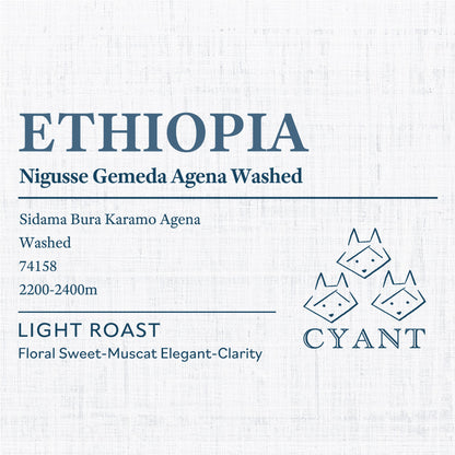 Ethiopia Nigusse Gemeda Agena Washed