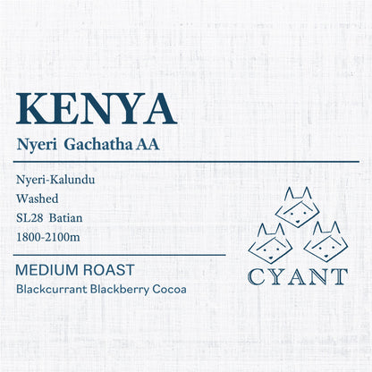 KENYA Nyeri Gachatha  AA | ケニア ニエリ ガチャタ AA 中煎り