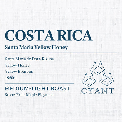 Costa Rica Santa Maria Yellow Honey | コスタリカ サンタマリア イエローハニー 中浅煎り