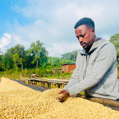 Ethiopia Nigusse Gemeda Agena Washed