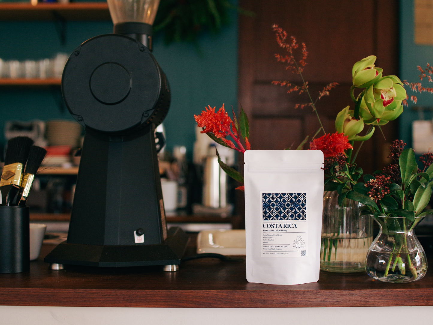 Costa Rica Santa Maria Yellow Honey | コスタリカ サンタマリア イエローハニー 中浅煎り